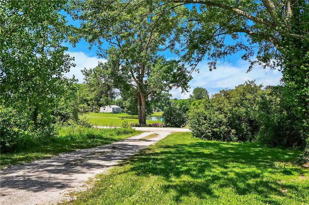 Photo 4 of 16095 Venus Road