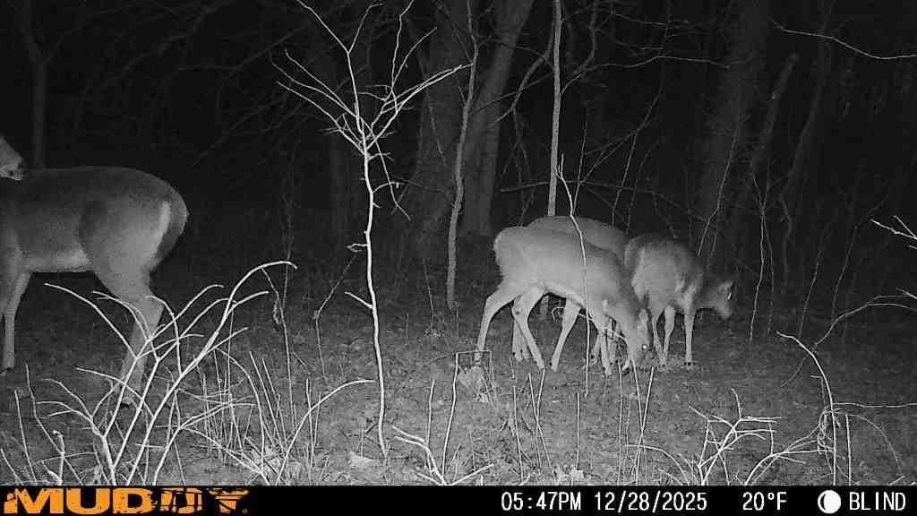 Photo 2 of 22590 McIntyre Road